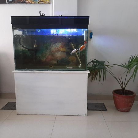 Hotel Lake N Yeti Pokhara Dış mekan fotoğraf