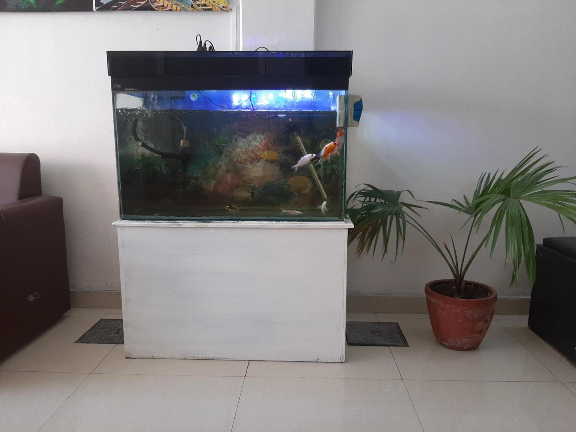 Hotel Lake N Yeti Pokhara Dış mekan fotoğraf